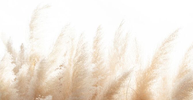 Cosmetic and Facial Acupuncture